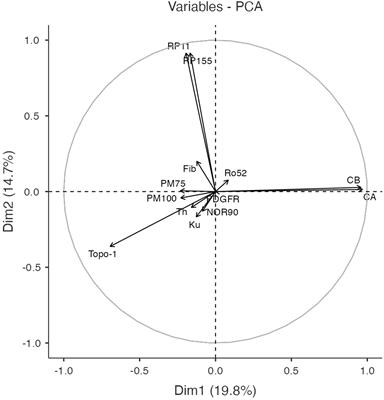 Comprehensive autoantibody profiles in systemic sclerosis: Clinical cluster analysis